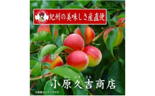 M6119n_紀州南高梅しそ漬梅干 1kgとぽん酢 1本