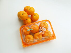 BF6054_ハウスみかん 6パック 【ミカン 蜜柑 柑橘 温州みかん 
