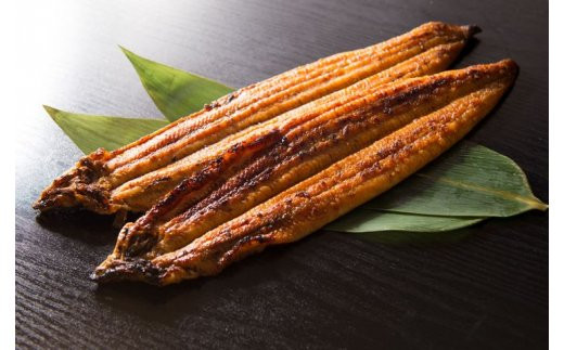 V6201_炭焼きうなぎ蒲焼　特大サイズ2尾セット（約200g前後×2
