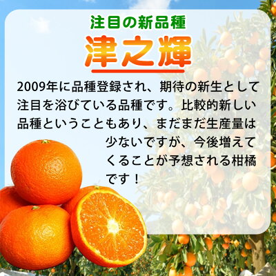 G7057_【2027年先行予約】和歌山産 津之輝 (つのかがやき) 5kg