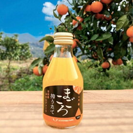 ZE6462_「まごころ」有田みかん 100％ ジュース 180ml 6本 セッ