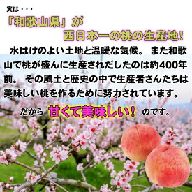 BD6039n_和歌山ブランド 白桃 秀品 2kg 【2024年6月発送】