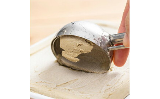 V6215_【2026年6月以降配送】【業務用サイズ】プレミアムジェ