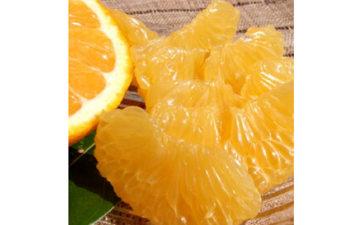 V7416_甘夏(あまなつ)秀品約7kg 和歌山県有田産 春みかん 春柑
