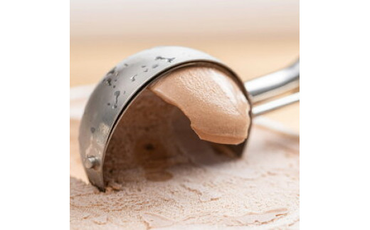 V6214_【2025年6月以降配送】【業務用サイズ】プレミアムジェ