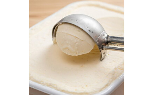 V7216_【2026年6月以降配送】【業務用サイズ】プレミアムジェ