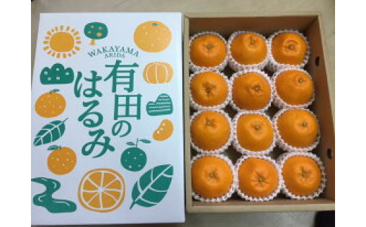ZE6090n_和歌山県産 有田の はるみ 化粧箱入り 2Lサイズ 12個入