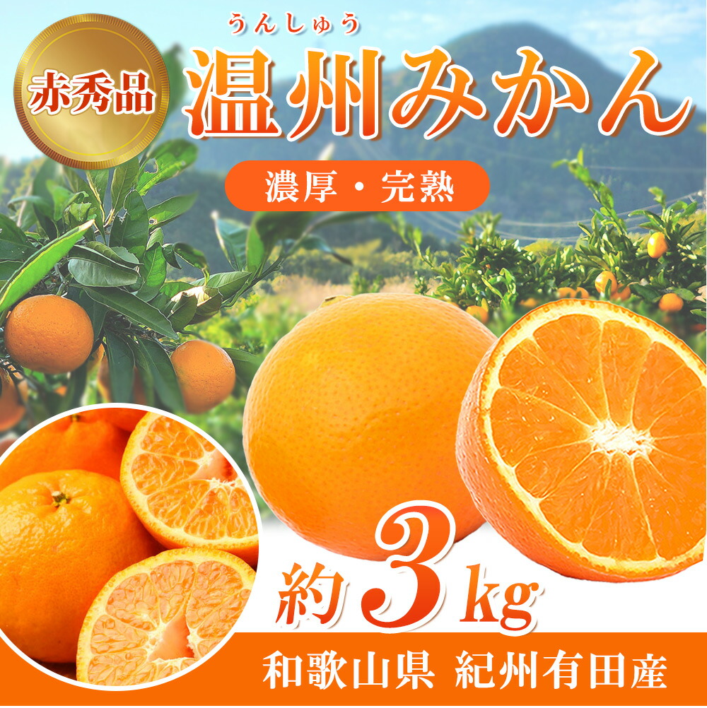 G7042_【2026年11月下旬より発送】紀州 有田産 濃厚甘熟 温州