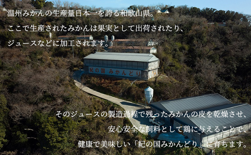 DO6003n_紀の国みかんどり 鶏 水炊き【鶏鍋 鶏すき 鍋セット