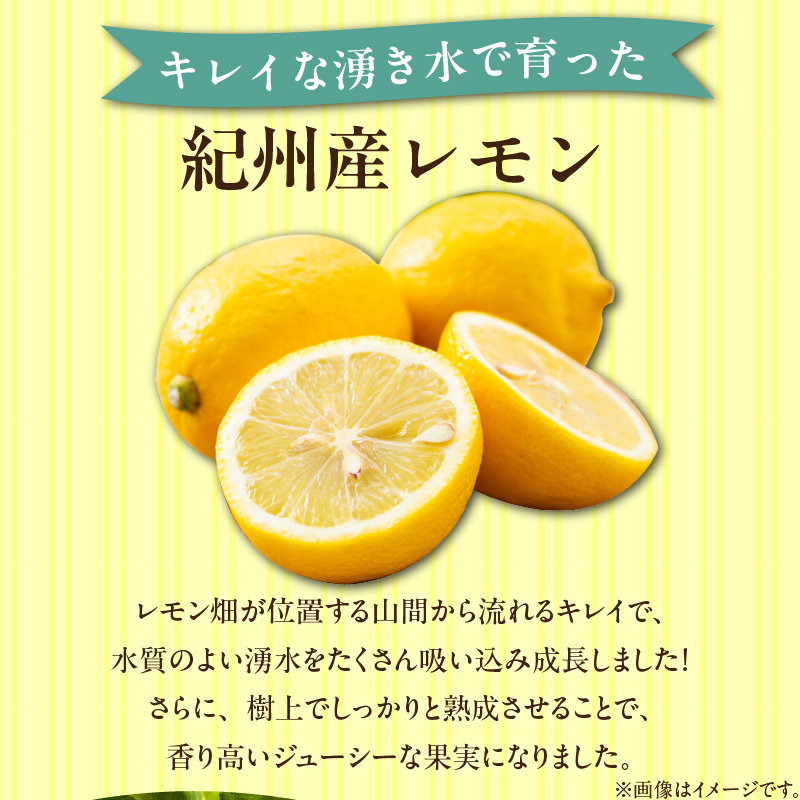 EA6013_和歌山県産 完熟 レモン 10kg 皮まで使用可能（栽培期