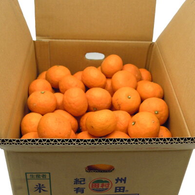 DN6015_高級ブランド 田村みかん 秀品 10kg (S～Lサイズおまか