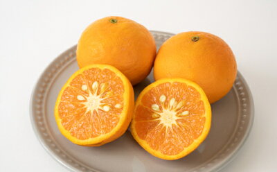 ZT6230n_【2026年先行予約】こだわりの 清見 オレンジ 【訳あ