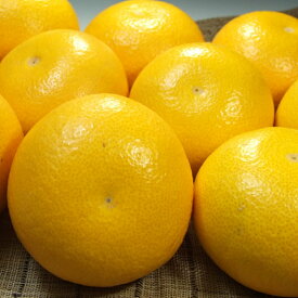 V7405_八朔(はっさく)[約5kg]和歌山県有田産 春みかん(果実サ