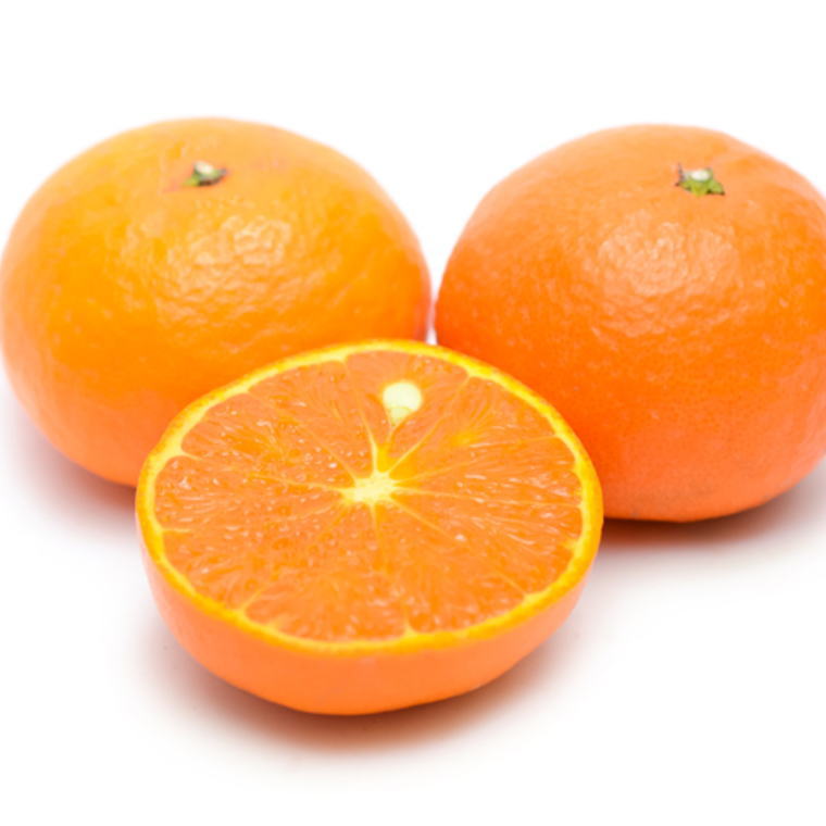 ZD6705n_【2026年先行予約】【春みかん】和歌山県有田産カラ