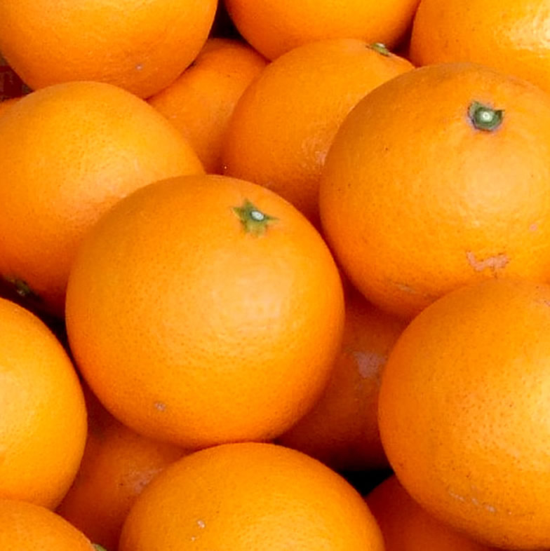 V7414_清見オレンジ[約8kg]和歌山県有田産 春みかん (果実サイ