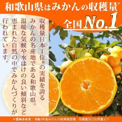 ZN6011n_（大玉）和歌山県産 有田みかん 5kg ひとつひとつ手選