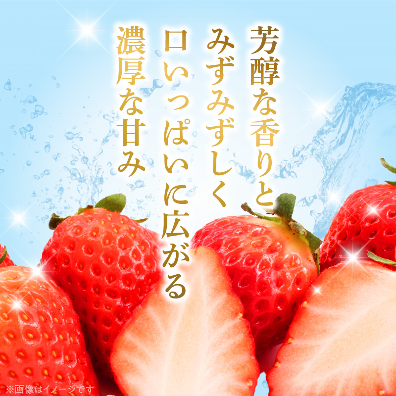 AB7334_【2026年先行予約】朝摘み 完熟 まりひめ いちご 約300g