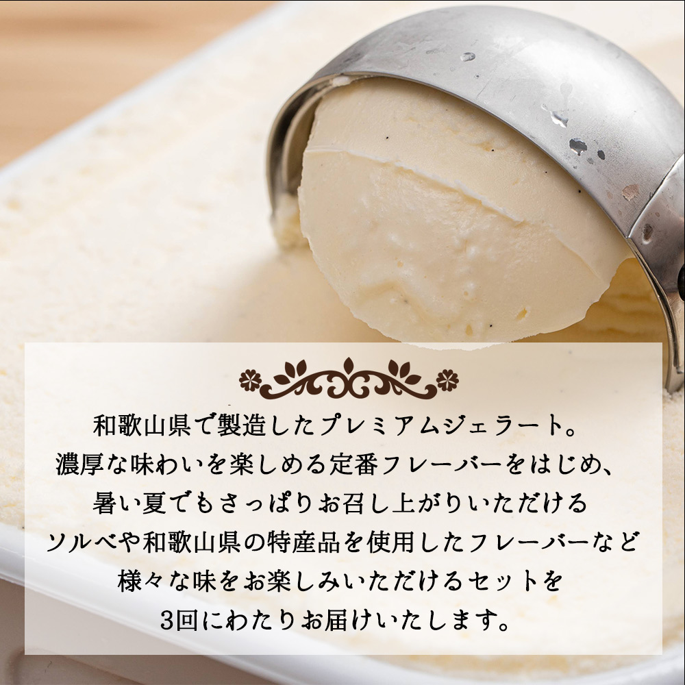 V20-T07_【定期便 全3回 毎月お届け】 和歌山のプレミアムジ