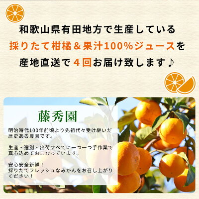 ZT6234n_ 【定期便 4回】こだわりの定期便 藤秀園 【ミカン 蜜