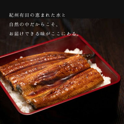 BC6007_うなぎ蒲焼 4尾 & 蒲焼タレ 2本 セット 国産 安全 ふっ