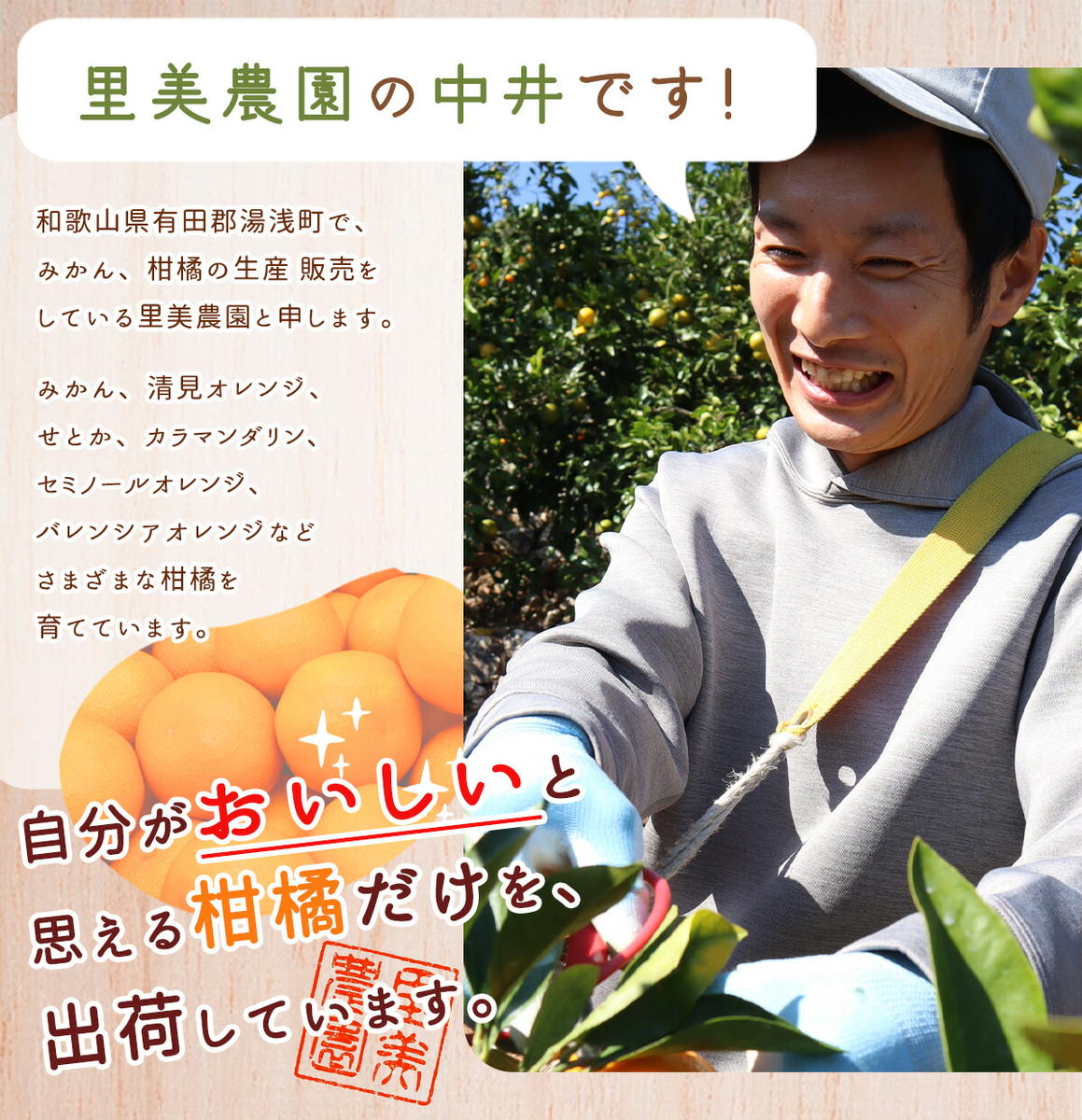 AN6112_有田みかん【訳あり】1kg SS～2Lサイズ混合 農家直送