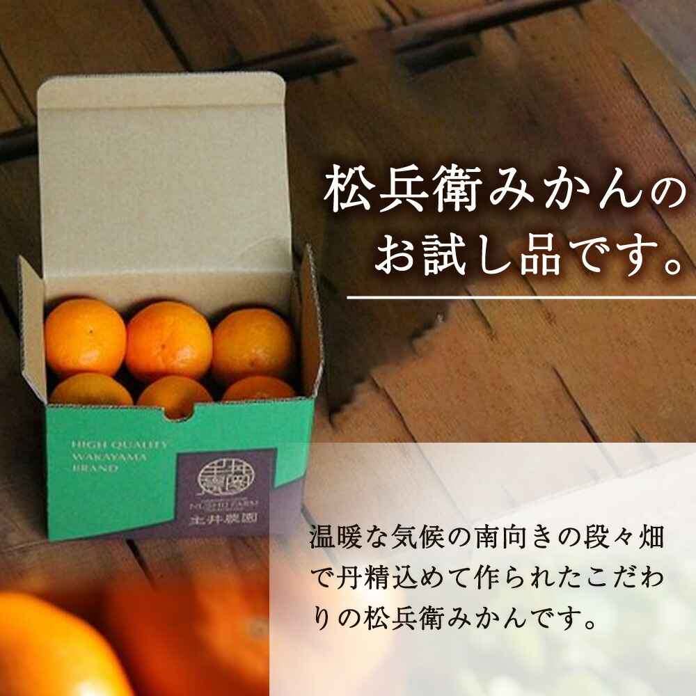 ZS6146_主井農園 高級 松兵衛みかん ご家庭用 1kg お試し (サイ