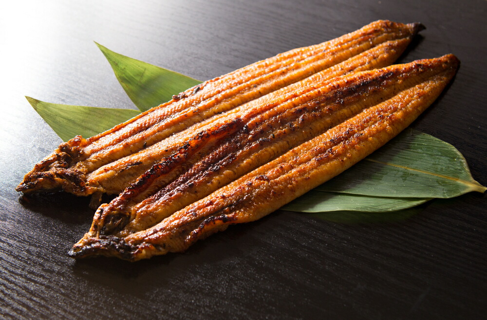 V7304_炭焼き うなぎ 蒲焼 大サイズ 5尾 セット（約150～199g×5