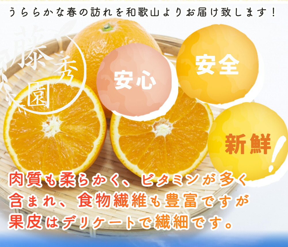 ZT6401_【2026年先行予約】清見オレンジ 秀優 3kg S～3Lサイズ