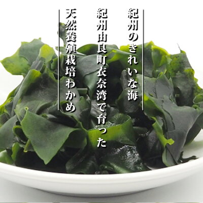 BB6063_紀州衣奈産乾燥わかめ　150g×3パック (2026年産)