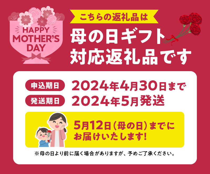 R6102_H_【母の日までにお届け！】紀州備長炭焼き 特大 うな