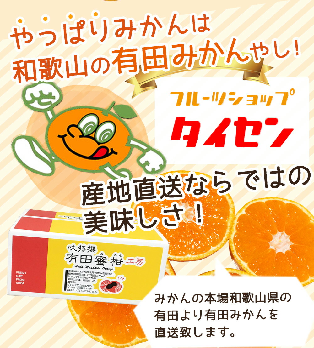 ZJ6093_【ご家庭用】有田みかん約10kg(3S、2S、Sサイズ)【湯浅