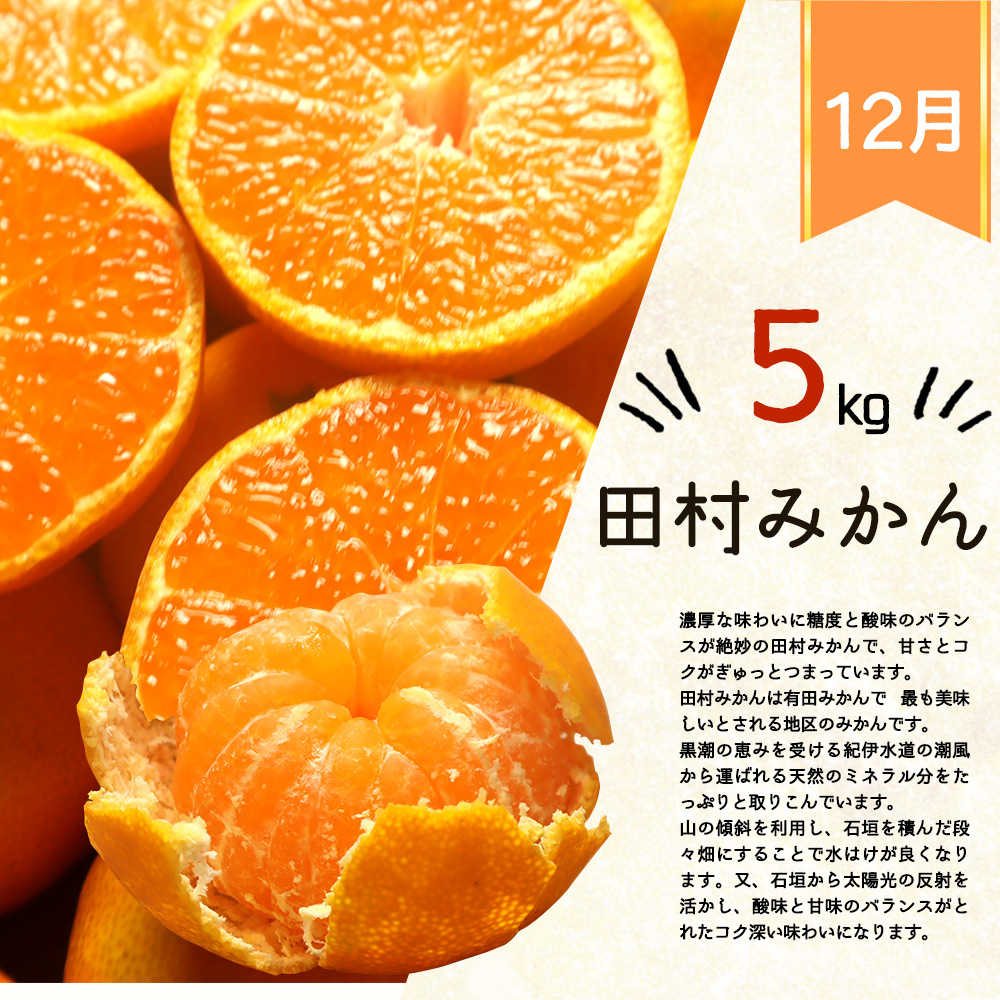 G60-T74_【定期便 全3回】紀州和歌山産旬の柑橘セット（田村