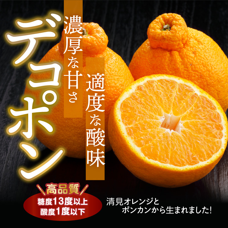 U6300_【2026年先行予約】デコポン 秀品 18玉～24玉 和歌山県有