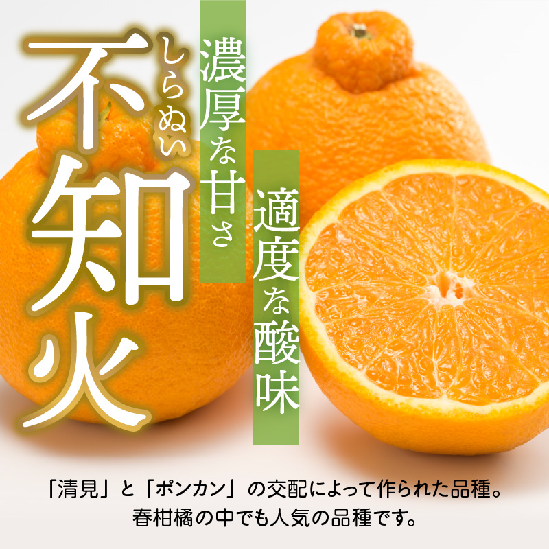 U6306_【2026年先行予約】不知火 しらぬい(デコポンと同品種) 