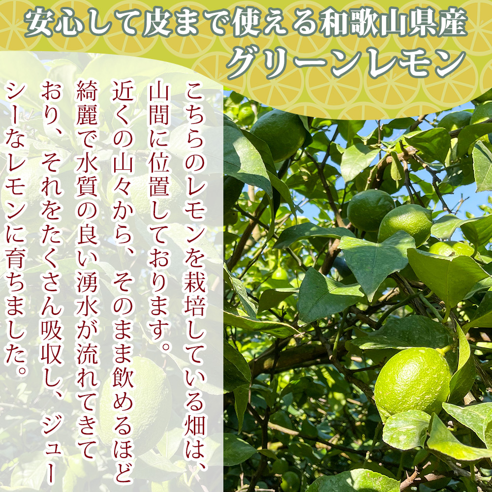 EA6102_綺麗な湧き水で育てたグリーンレモン 5kg (大小混合)