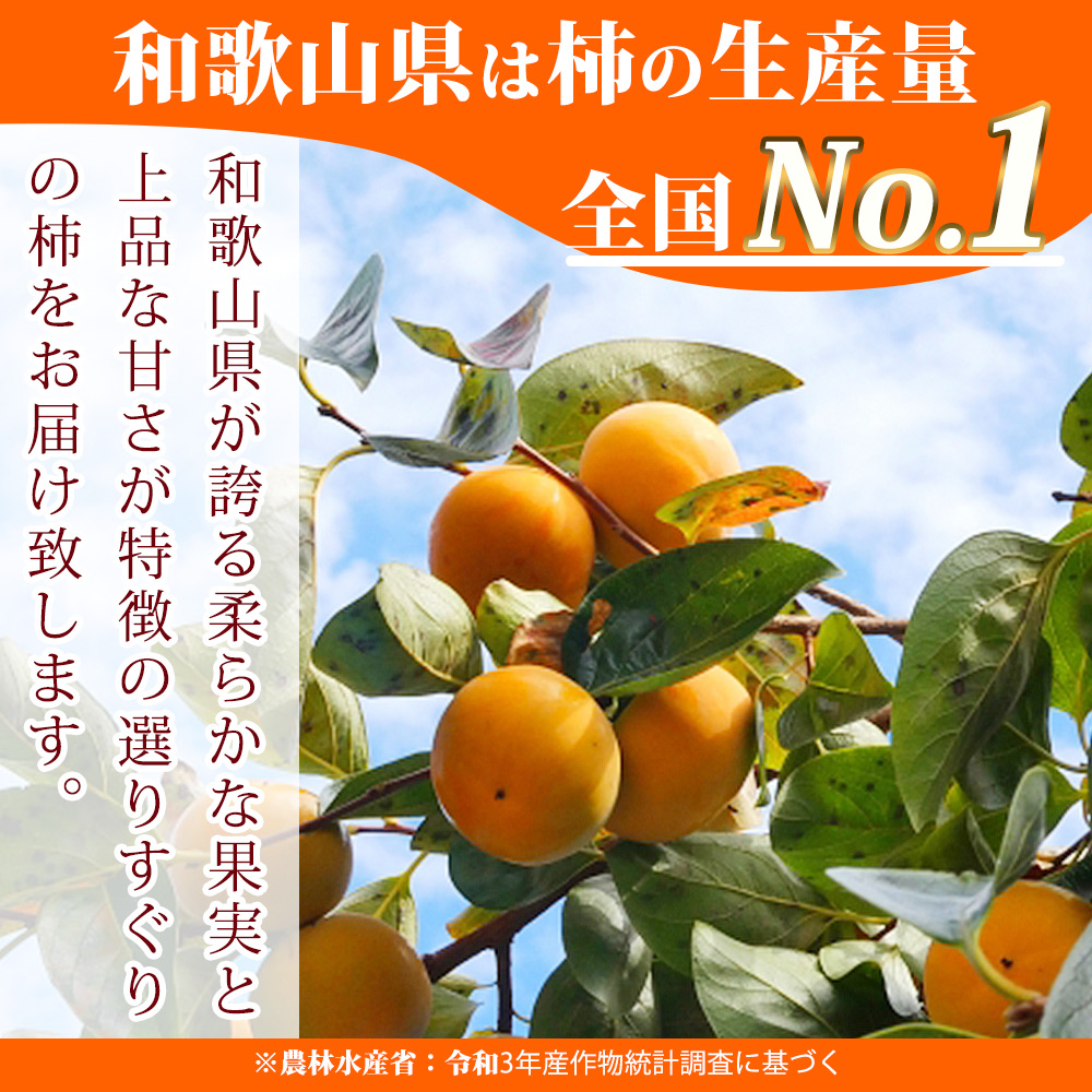 G7113_和歌山秋の味覚 平核無柿（ひらたねなしがき） 3.5kg【