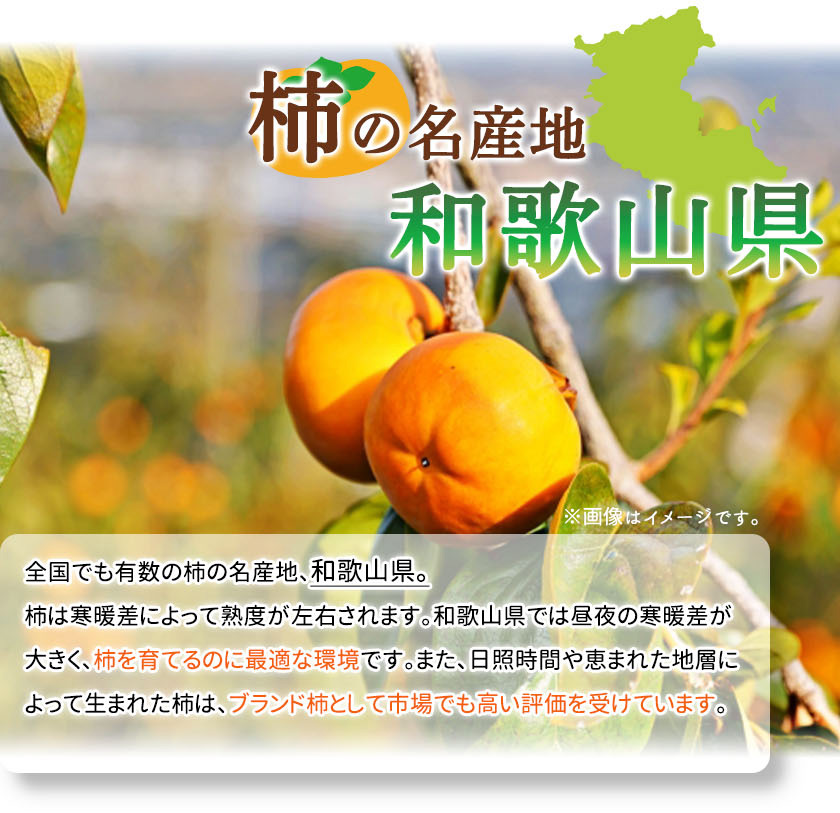 G7112_【2026年 先行予約】和歌山秋の味覚 富有柿 3.5kg【家庭