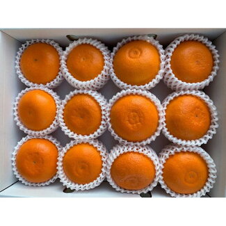 BF6048n_（2026年先行受付）完熟 せとか 赤秀 特選品 9～15玉 化