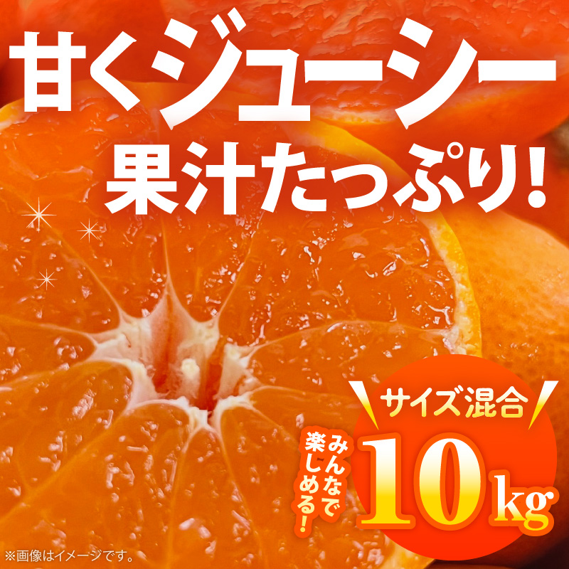 AB7300_ ご家庭用 田村みかん サイズ混合 約10kg わけあり 訳あ