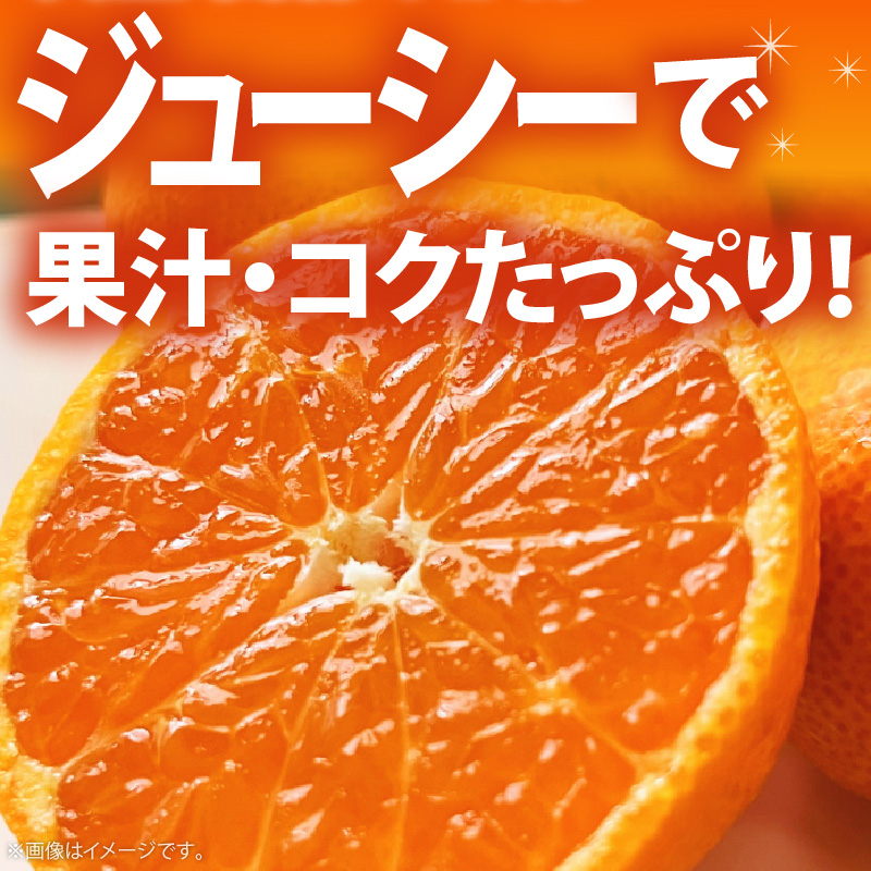 AB7309_ プレミアムブランド 田村みかん Sサイズ 秀品  約5kg _ 