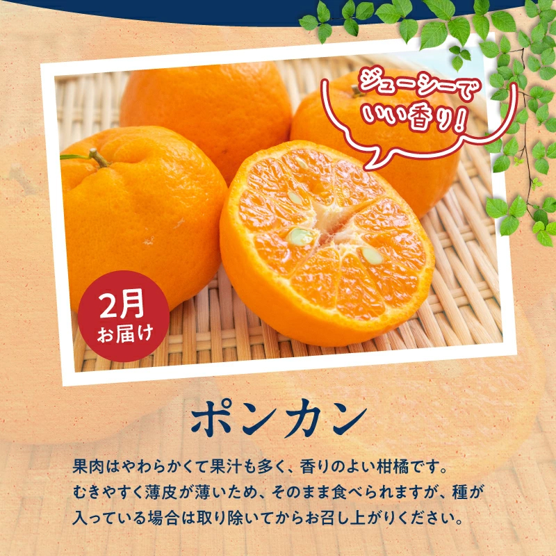 G60-T62_【定期便 全3回】紀州和歌山産旬のフルーツ定期便（