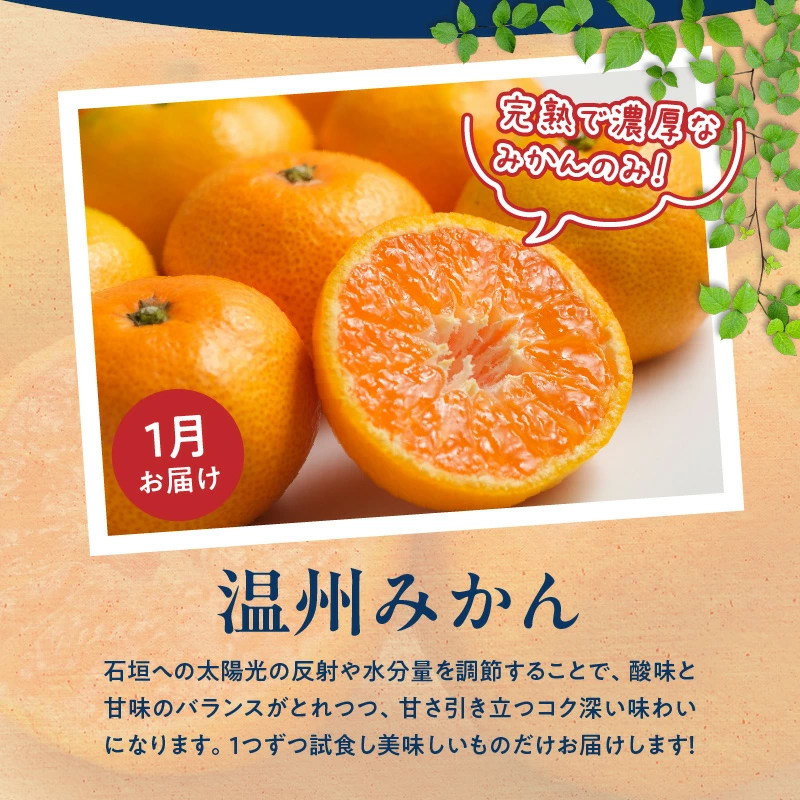 G60-T57_【定期便 全3回】紀州和歌山産旬のフルーツ定期便（