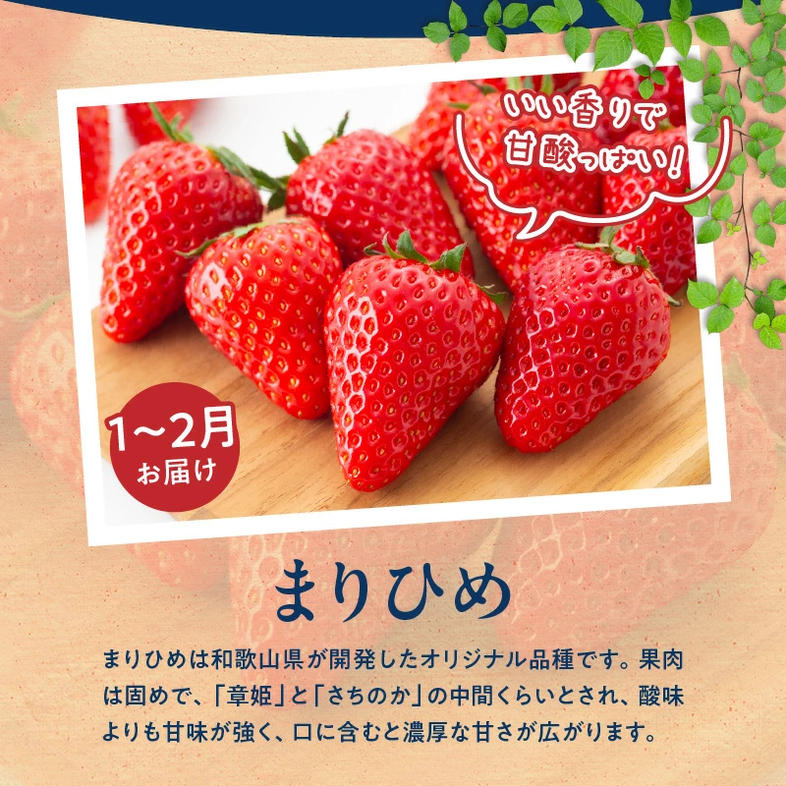 G60-T76_【定期便 全3回】紀州和歌山産旬のフルーツ定期便（