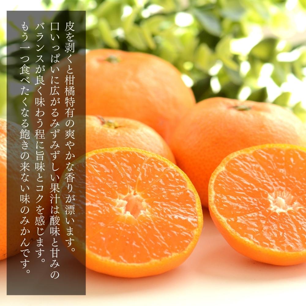 MK1004_みかん Ｍサイズ 秀品 箱込 10kg ( 内容量 9.2kg ) 有田み