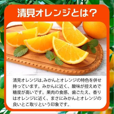 G7329_【2026年先行予約】紀州有田産 清見 オレンジ 5kg【家庭