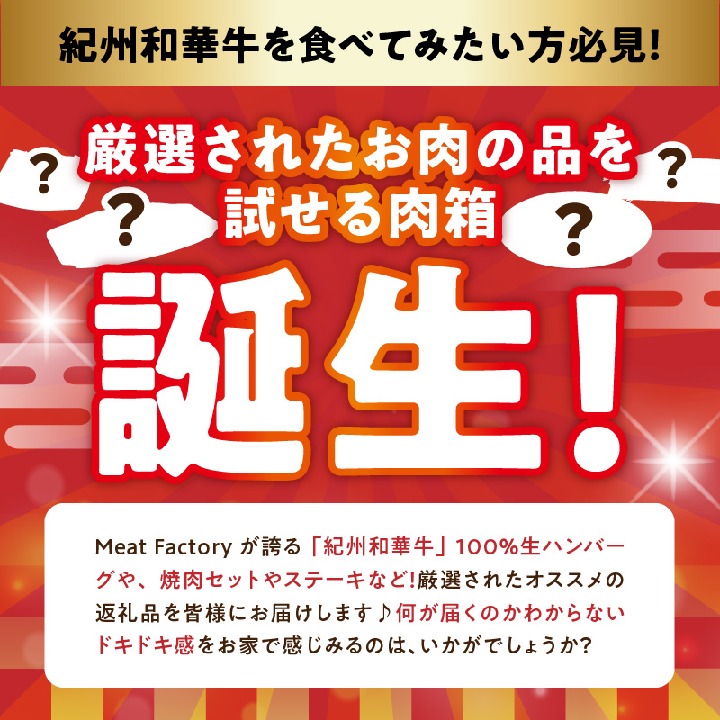 BN6134_お楽しみ肉箱 Aセット お試し ドキドキ 黒毛和牛 ハン