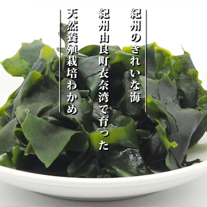 BB6228_紀州衣奈産 乾燥 わかめ 150g × 4 パック 2025年産 天然 