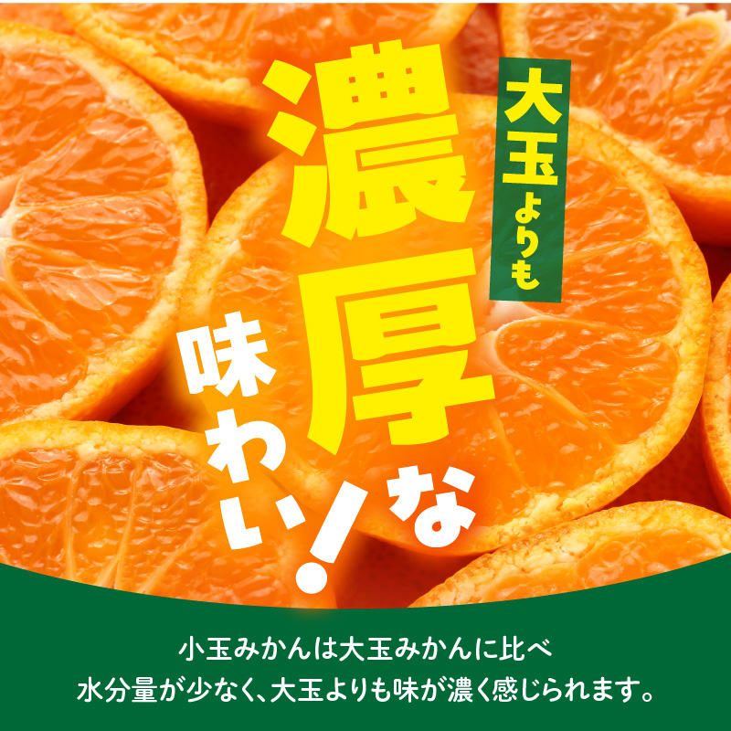 MK1000_みかん とにかく 小玉 箱込 2.5kg ( 内容量 2.3kg ) 2Sサイ