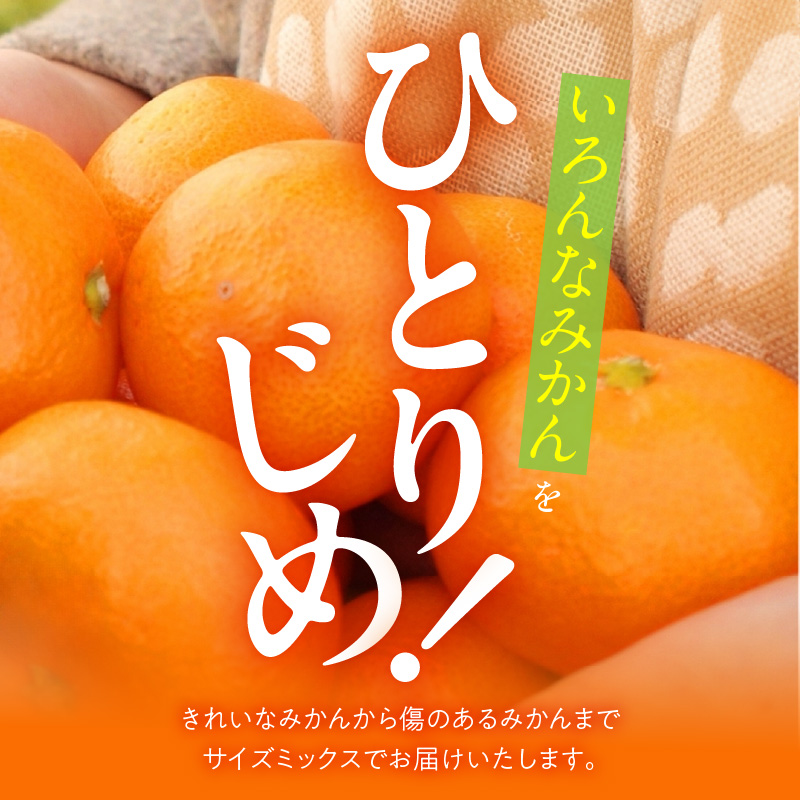 MK1008_【ANA限定】 みかん 食べ比べ お任せ3サイズ 箱込 3kg ( 