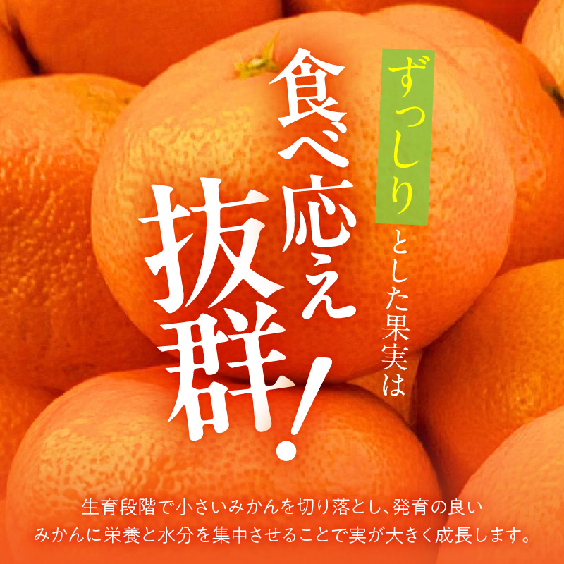 MK1033_みかん 大玉 どっこいしょ 箱込 5kg ( 内容量 4.4kg ) 2Lサ